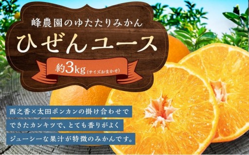 峰農園ゆたたりみかん ひぜんユース 3kg （サイズおまかせ）