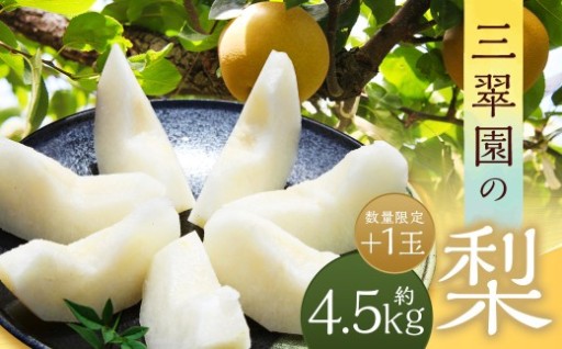 【数量限定】 三翠園の梨 4.5kg + 1玉