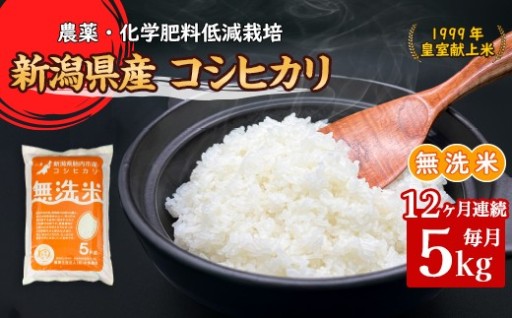 【令和8年産新米🌾】新潟県胎内市産コシヒカリ【無洗米】5kg（12ヶ月連続お届け）