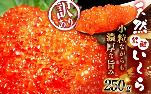 【先行予約】 新物 天然紅鮭いくら 醤油漬け 250g