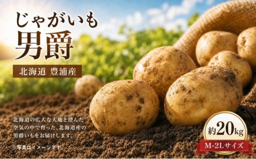 【ふるさとチョイス限定】【先行予約】北海道 豊浦産 じゃがいも 男爵 約20kg M - 2L サイズ
