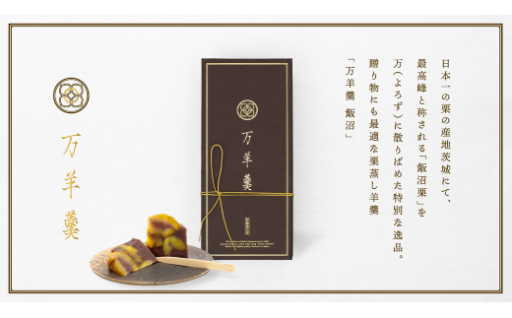 【お茶時間を彩る🍵】万羊羹　飯沼