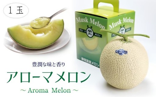 【通年出荷】アローマメロン(白等級) 1玉入