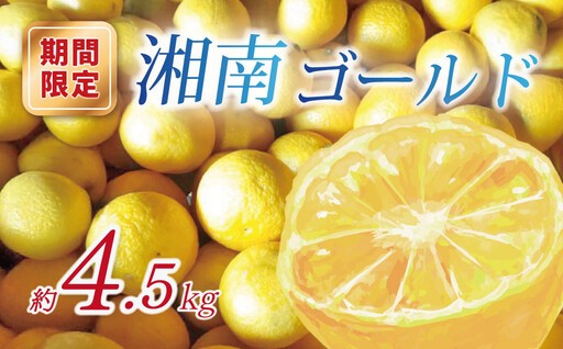 秦野市自慢の美味しい＼ 柑橘シリーズ ／が公開開始されました！