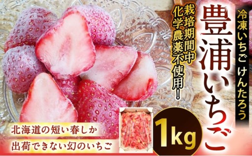 豊浦いちご 冷凍いちご 1kg