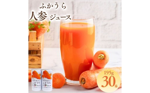 ふかうら雪人参 ジュース 195g 30本