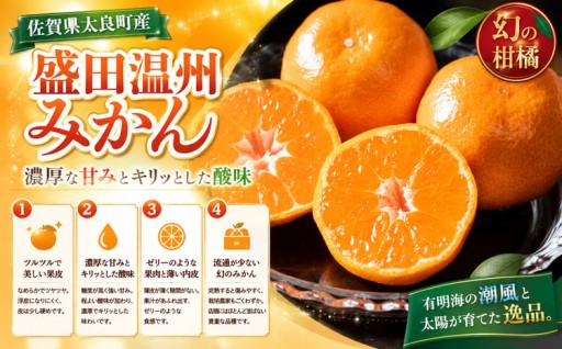 新宮みかん園　希少なみかん盛田温州の小さなみかん 5kg