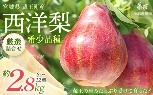 先行予約／希少洋梨 約2.8kg（8～12個） 