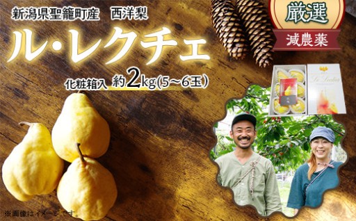 【とろける食感🍐】西洋梨ルレクチェ（約2kg）