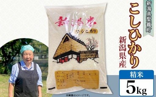 【令和8年産 新米予約🍚】新潟県産コシヒカリ5kg（特別栽培米）