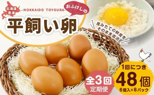 [ 定期1ヶ月毎3回 ] 北海道 豊浦 おふけしの平飼い卵 （ 6個入 × 8パック ） 48個