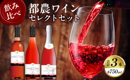 【宮崎県都農町】🏅世界も認めた都農ワイン🏅セレクトセット(3本)🍷