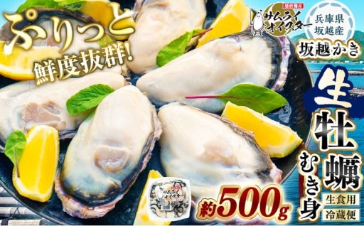 坂越かき むき身 約500g×1パック【2026年12月以降発送予定】