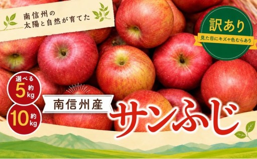 訳あり品 長野県産 サンふじ