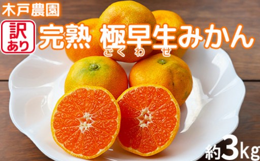 [訳あり] 完熟 極早生 みかん 約3kg