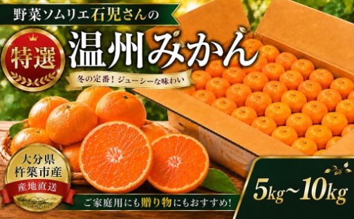 野菜ソムリエ石児さんの「特選 温州みかん」 