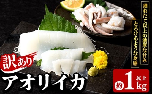 訳あり！アオリイカ(約1kg以上・2～3杯)