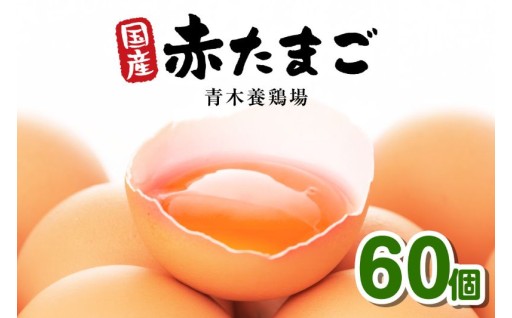 国産🥚赤卵🥚60個入
