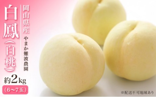 岡山県産 白鳳 （ 白桃 ） 約2kg（6～7玉） 