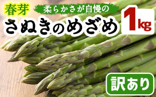＜先行予約！2027年3月上旬以降順次発送予定＞＜訳あり＞春芽！アスパラガス「さぬきのめざめ」(約1kg)