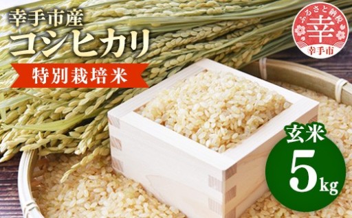 【🌾令和8年産🌾】有機肥料 100％ 埼玉県幸手市産特別栽培コシヒカリ 玄米 5kg