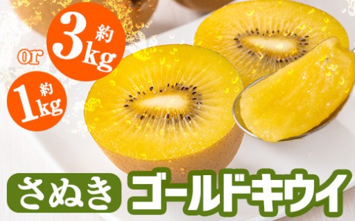 ＜2026年10月中旬以降順次発送予定＞＜選べる容量＞香川県産 さぬきゴールドキウイ (約1kg・約3kg)