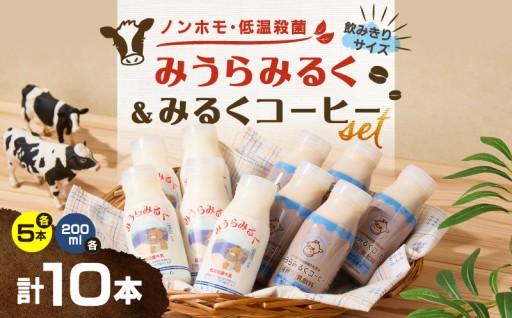 生乳本来のおいしさに近い「みうらみるく ・みうらみるくコーヒー」のご紹介✨