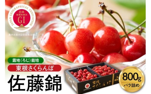 【山形県東根市】2027年🍒GI東根さくらんぼ🍒「佐藤錦」800g バラ詰め