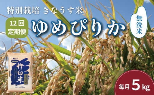 🍚毎月届く！北海道の極上ゆめぴりか✨