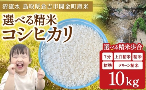 【令和8年産米】コシヒカリ 選べる精米歩合 10kg