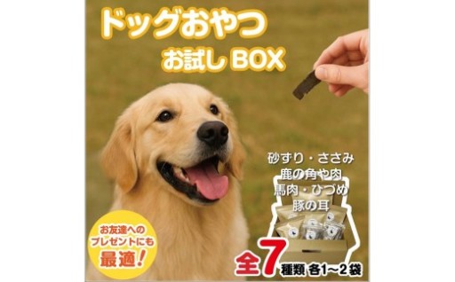 愛犬に🐶ごちそうボックス💖