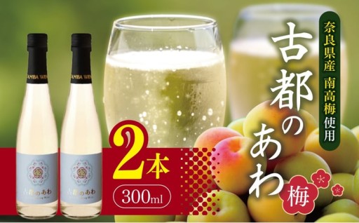 梅 スパークリングワイン300ml×2本