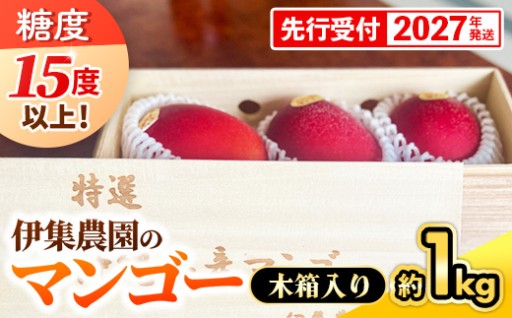 【木箱入】伊集農園 沖縄県産マンゴー （贈答用木箱）約1kg【2027年発送】