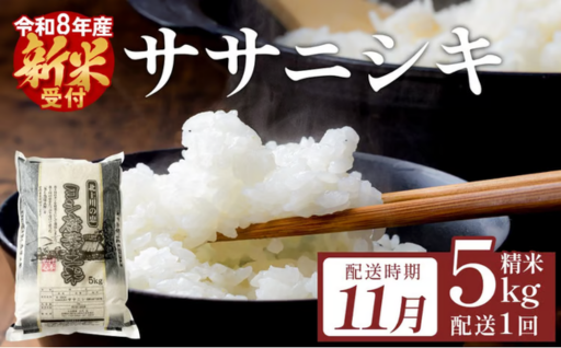 【11月配送】米 令和8年産 （先行予約） ササニシキ 精米 5kg