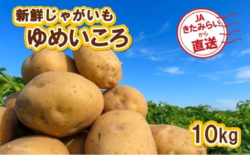 しっとり＆あっさりとした上品な味わいの新品種【ゆめいころ】🥔✨
