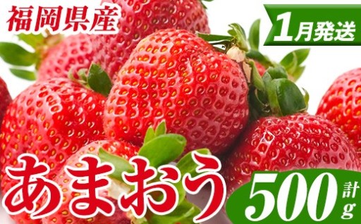 ＜先行予約受付中！2027年1月中旬以降順次発送予定＞ 福岡県産 あまおう (計500g・250g×2パック)