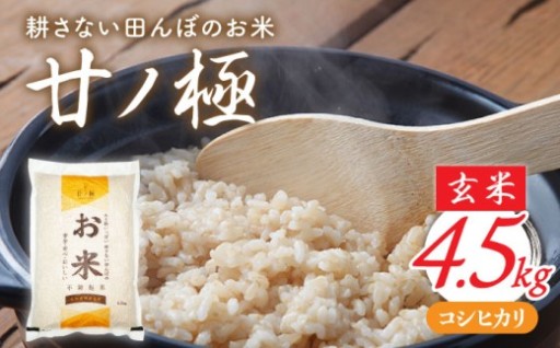 【土と水と生き物が育てた、多治見の米 】