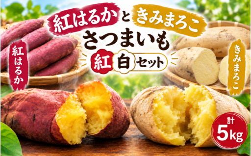 珍しい 白皮！ さつまいも の 紅白 セット 