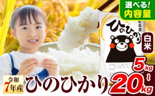  九州を代表するお米「ひのひかり」！毎日の食卓に熊本のお米を