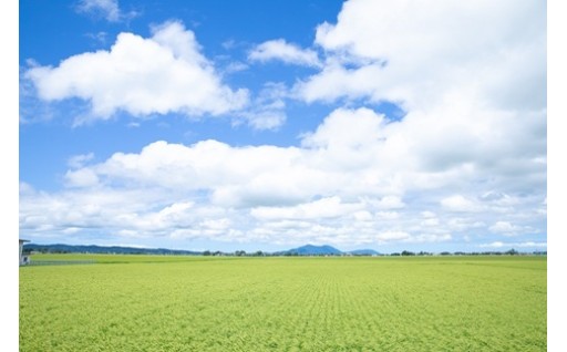 新潟県長岡市✨地域の魅力✨紹介します♪