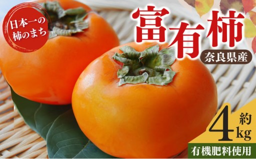 富有柿 約 4kg