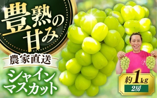 【9月27日まで受付】シャインマスカット 約1kg（2房)【2026年発送】