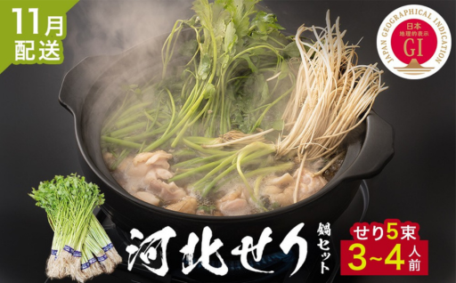 ＜11月配送＞ せり鍋セット せり5束 3-4人前 河北せり 