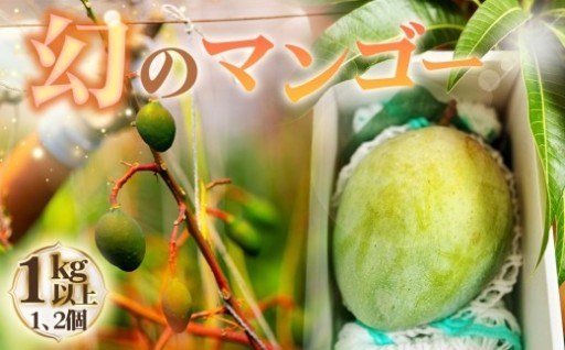 🥭幻のマンゴー🥭キーツマンゴー 約1kg以上（大中玉1～2個）