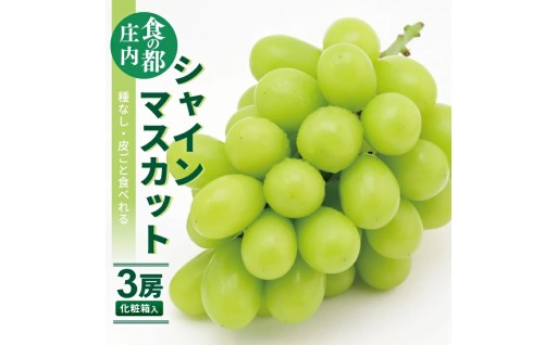 ✨輝く鮮やかな黄緑色　大粒のシャインマスカット✨