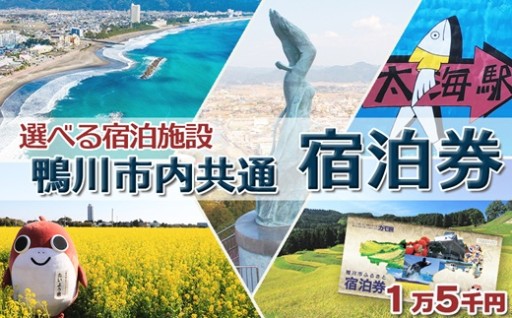 自然と温泉の街・鴨川を楽しめる✨市内共通宿泊券