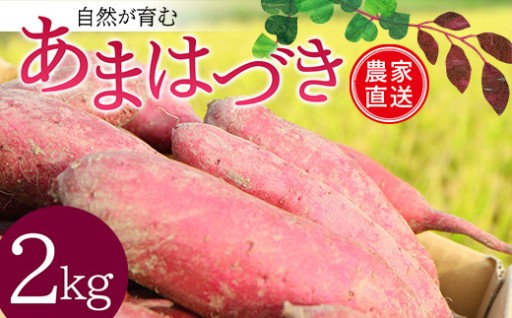 自然が育む『あまはづき』2kg