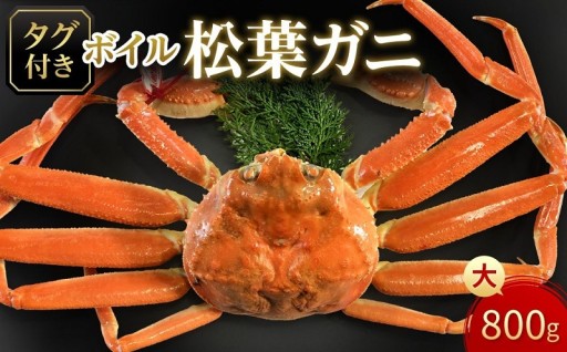 【魚倉】タグ付きボイル松葉ガニ(大800ｇ)