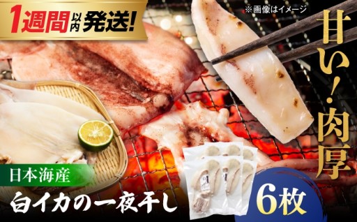 焼くだけ！日本海産 白イカ一夜干し 個包装6枚🦑