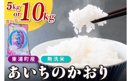 【選べる内容量】🍚東浦町産 こしひかり 約10kg🍚5kg（5kg×1袋） / 10kg（5kg×2袋）